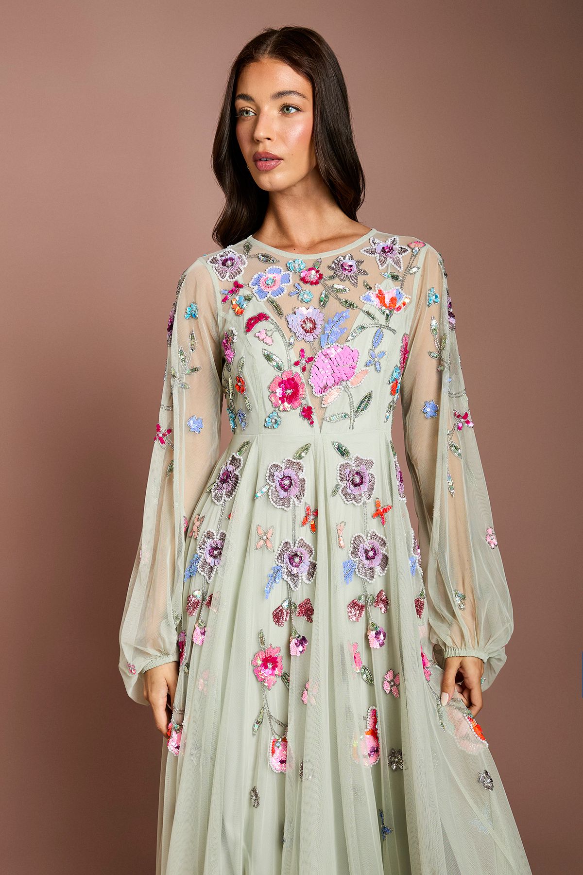 Coast Embellished Chiffon Maxi Dress