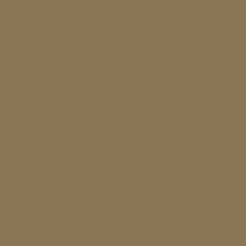 Peinture pour murs Colorissim grain de cumin mat 0,5 L V33
