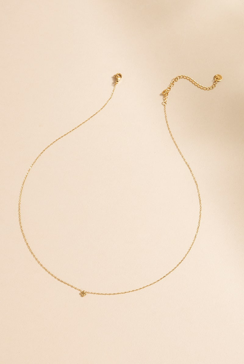 Diann Stainless Steel Clover Pendant Necklace