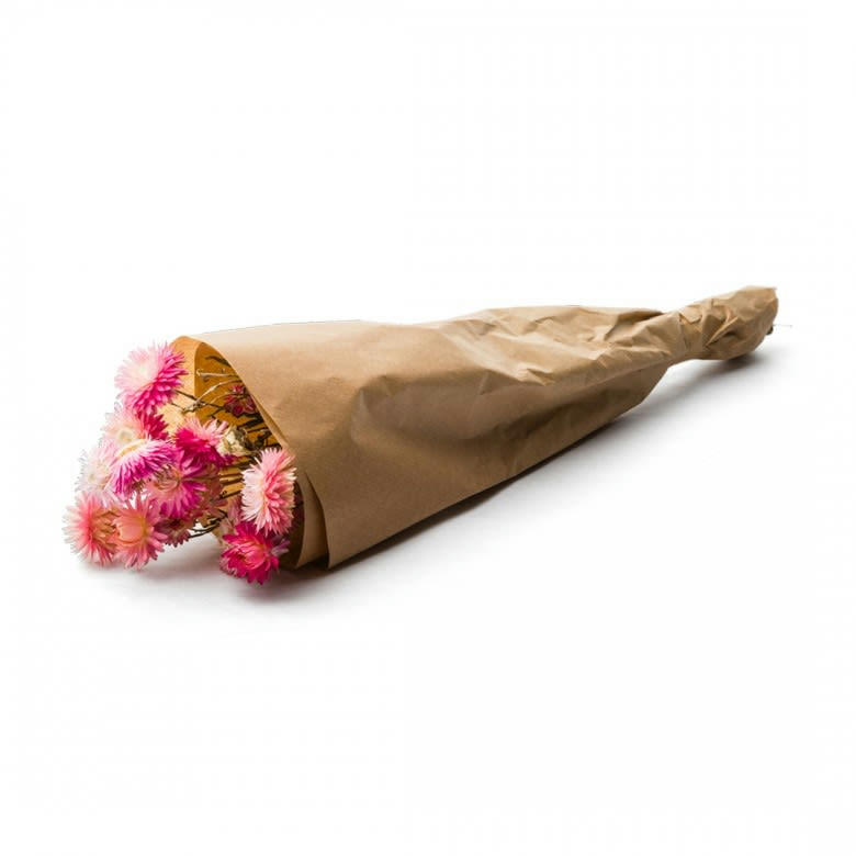 BFS - Botte Helichrysum Natural Pink