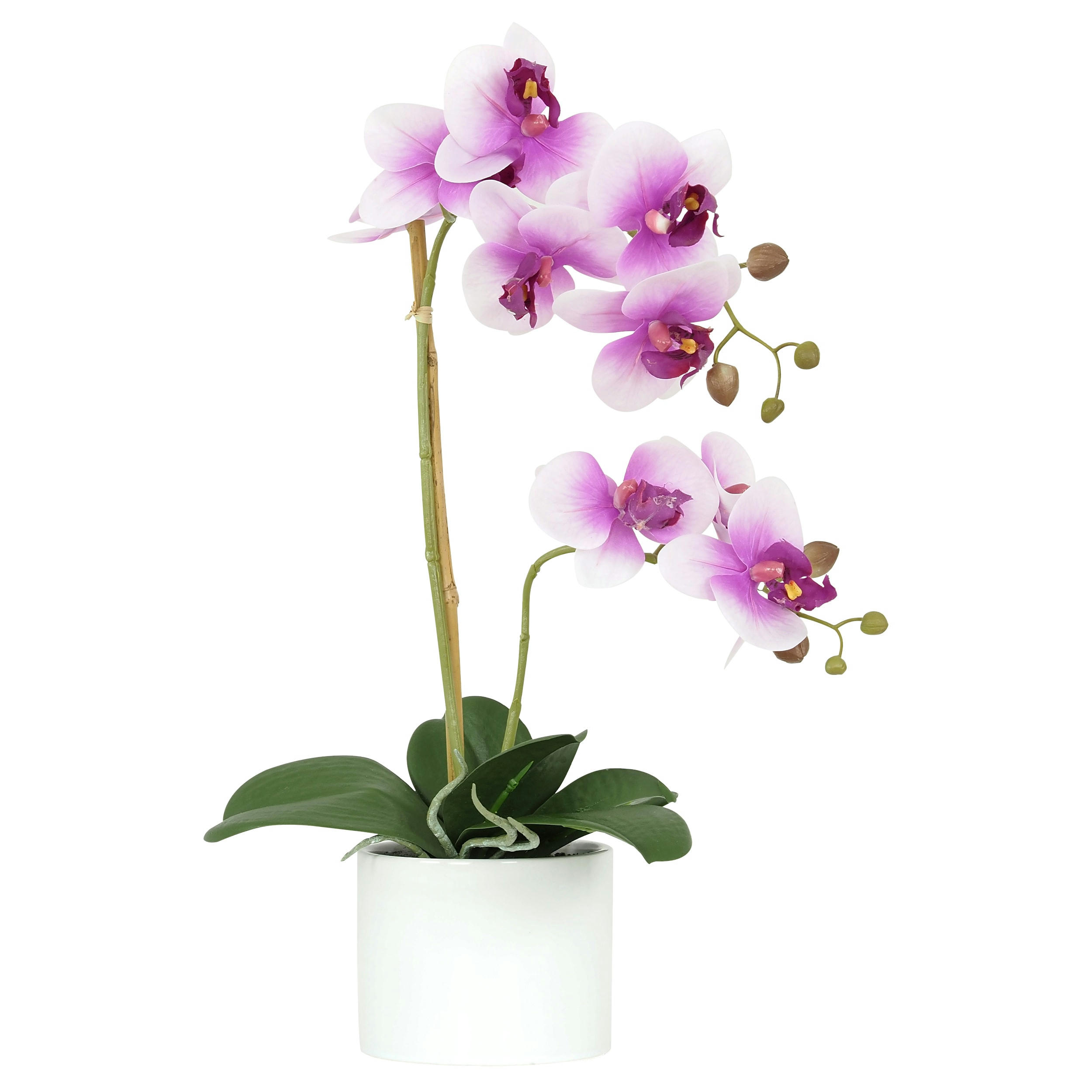 - Orchidées artificielles fuchsia 55cm