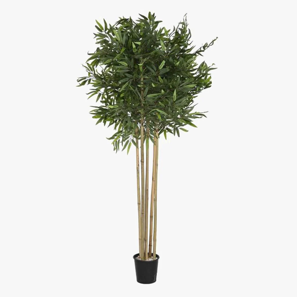 Árvore de Bambu 80x80x180cm EVERLEAF