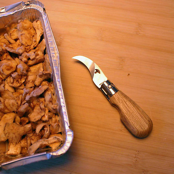 Couteau à champignon pliant manche en chêne