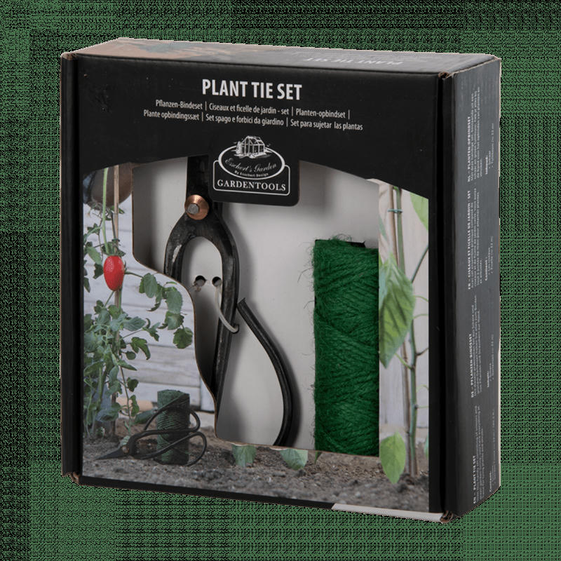 - Kit de fixation pour plantes
