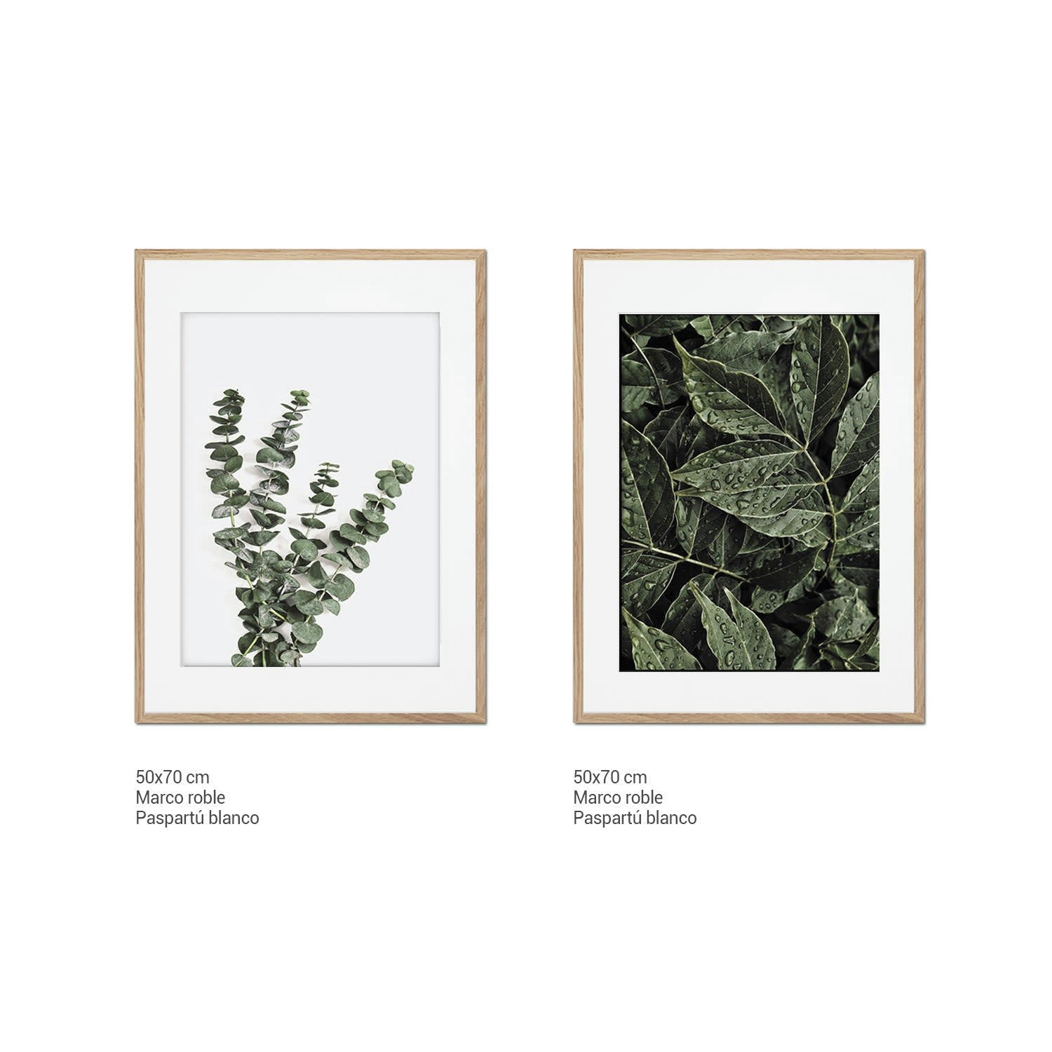 DÉCORATION MURALE - Décoration murale avec cadre en chêne - Botanique