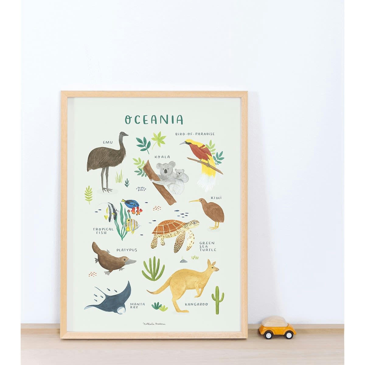 LIVING EARTH - Affiche Animaux d'Océanie (30 x 40 cm)