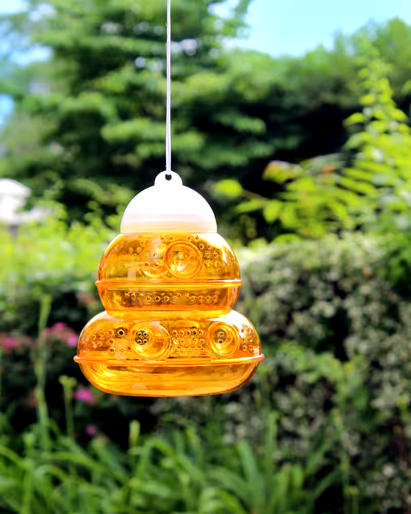PIC Pest Free Living Yellow Jacket, Hornet & Wasp Trap