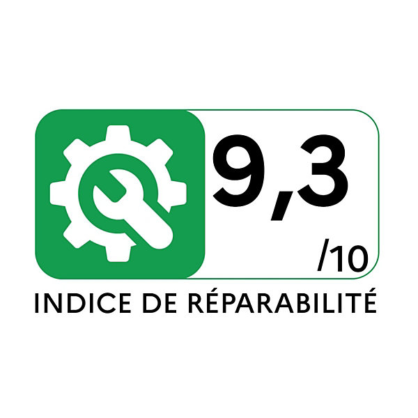 Aspirateur traîneau 400w 64db noir Rowenta RO6179EA green force effitech