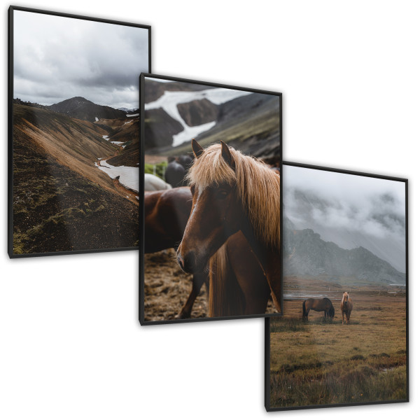 ZESTAW 3x Plakat W Ramie KONIE Góry Pejzaże 30x40cm