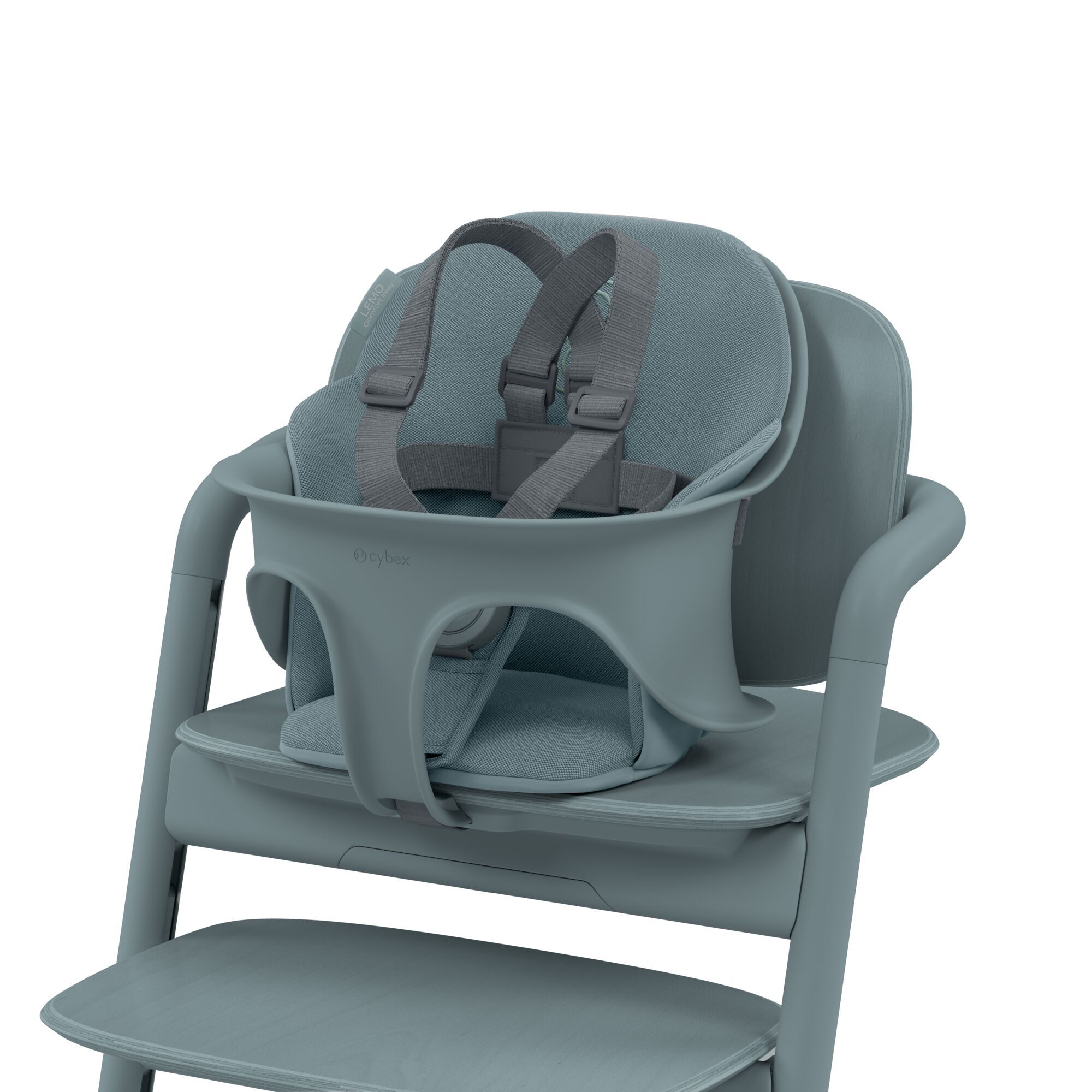 CYBEX Gold Gold Harness