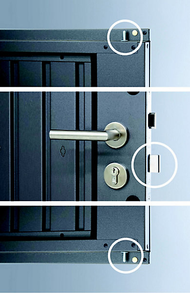Abri de jardin double porte Biohort Panorama P5 en métal coloris gris foncé métallique ép.0,53 mm surface extérieure 8,68 m²