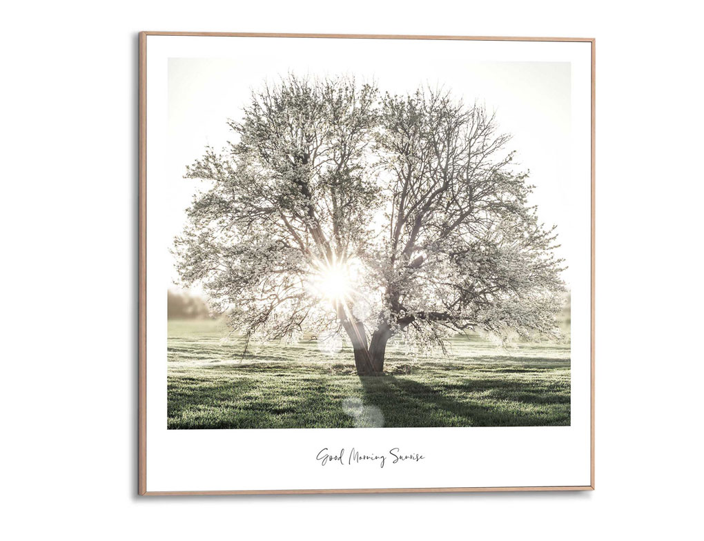 Bild Slim Frame Wood Morgensonne