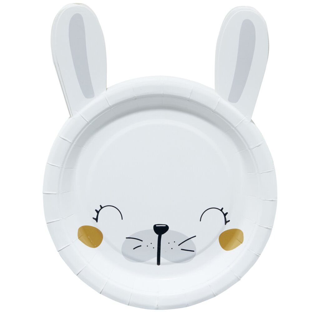 Lot de 10 assiettes en carton design lapin de Pâques
