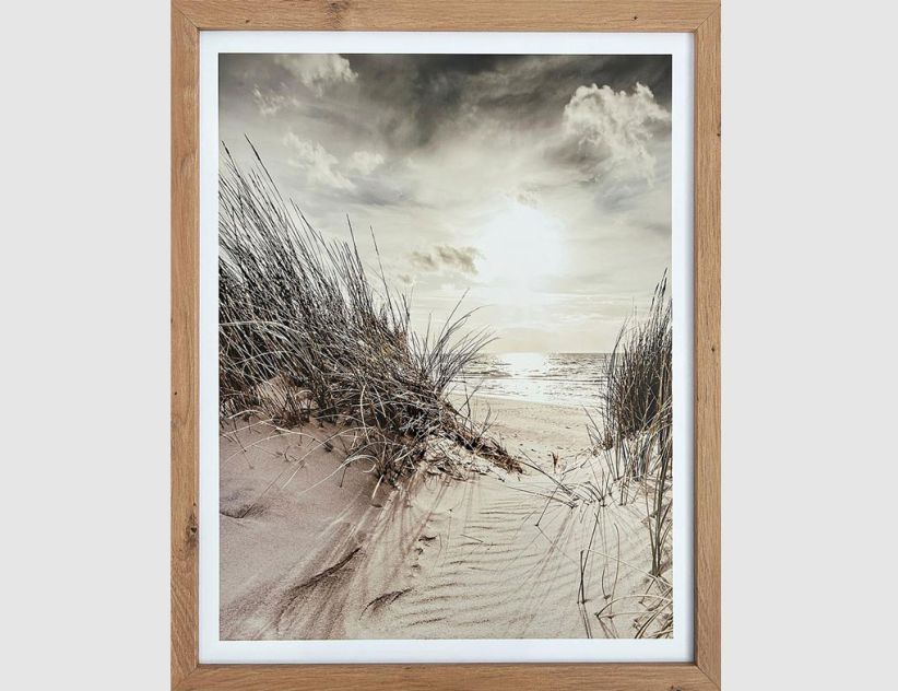 Bild Dünenweg am Meer