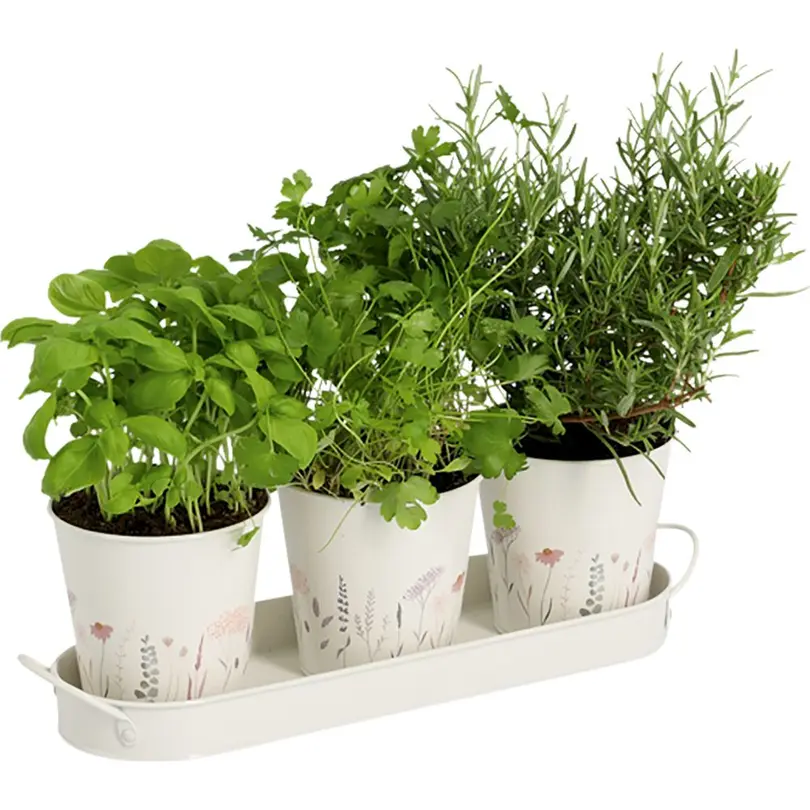 Kräutertopf 4-teilig Flowers