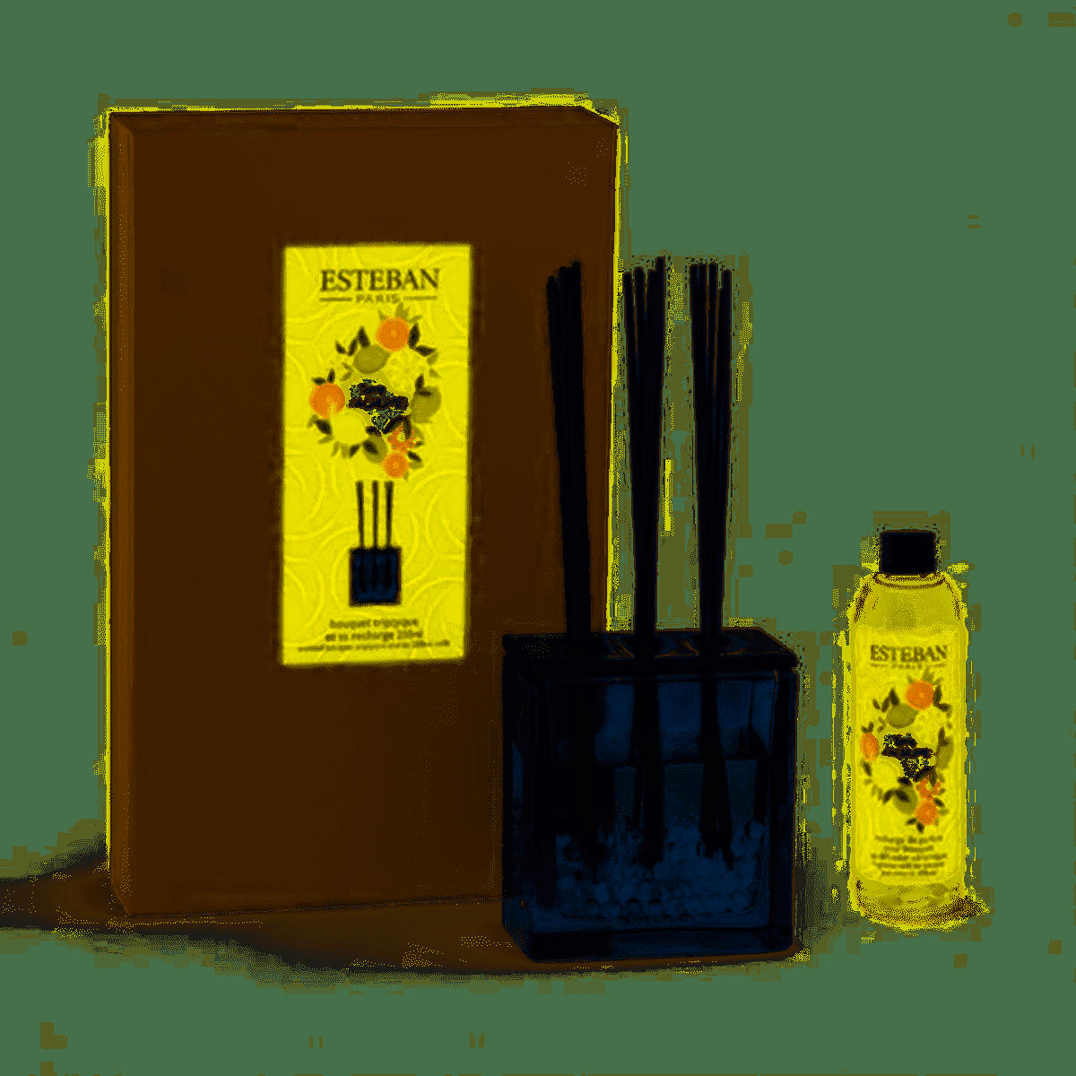 TERRE D'AGRUMES - Bouquet parfumé triptyque 250ml