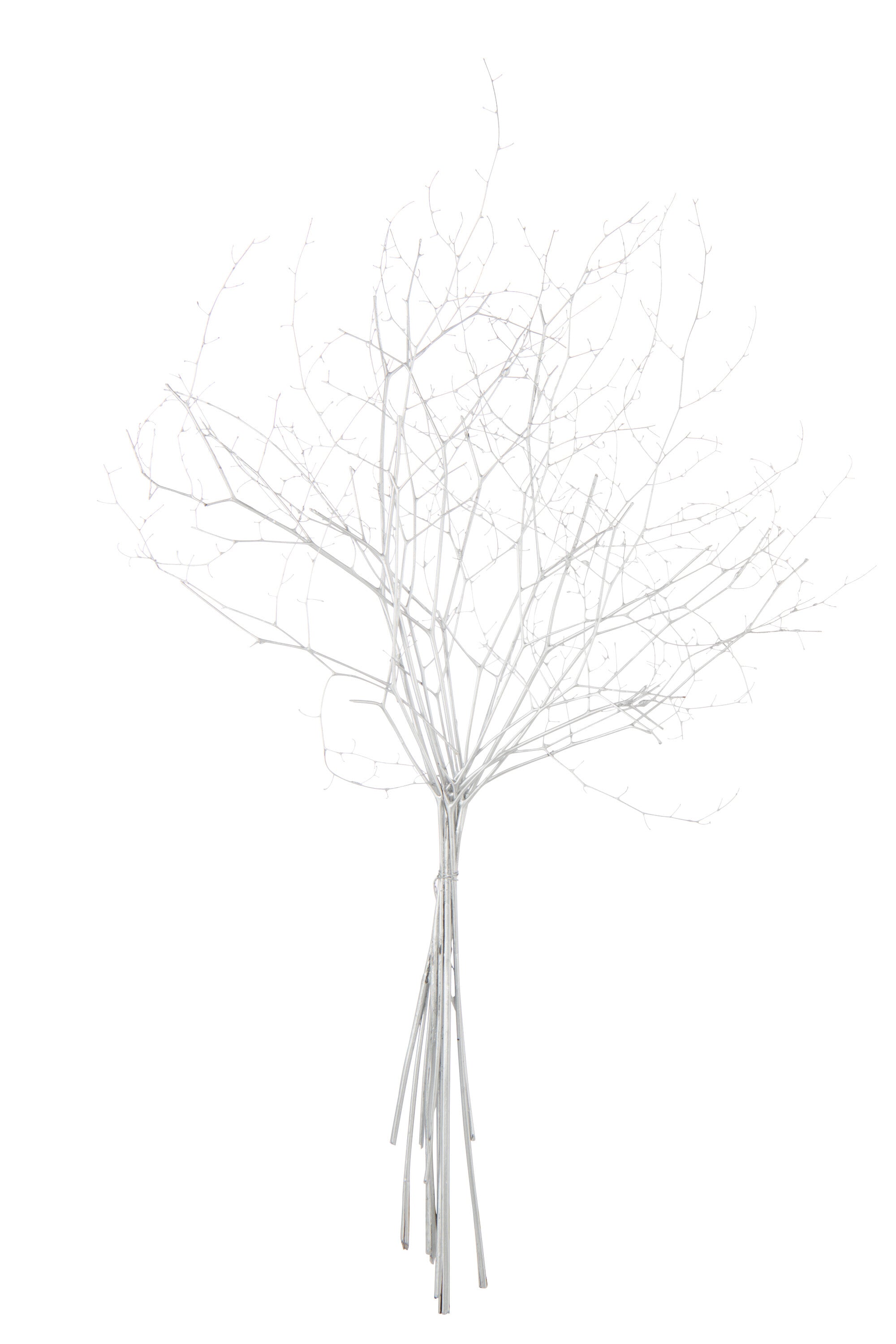 J-Line decoratie tak droogbloemen - riet - zilver
