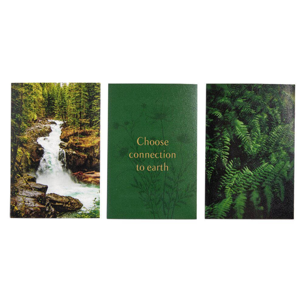 Lot de 3 affiches nature papier vert et noir 10x15cm