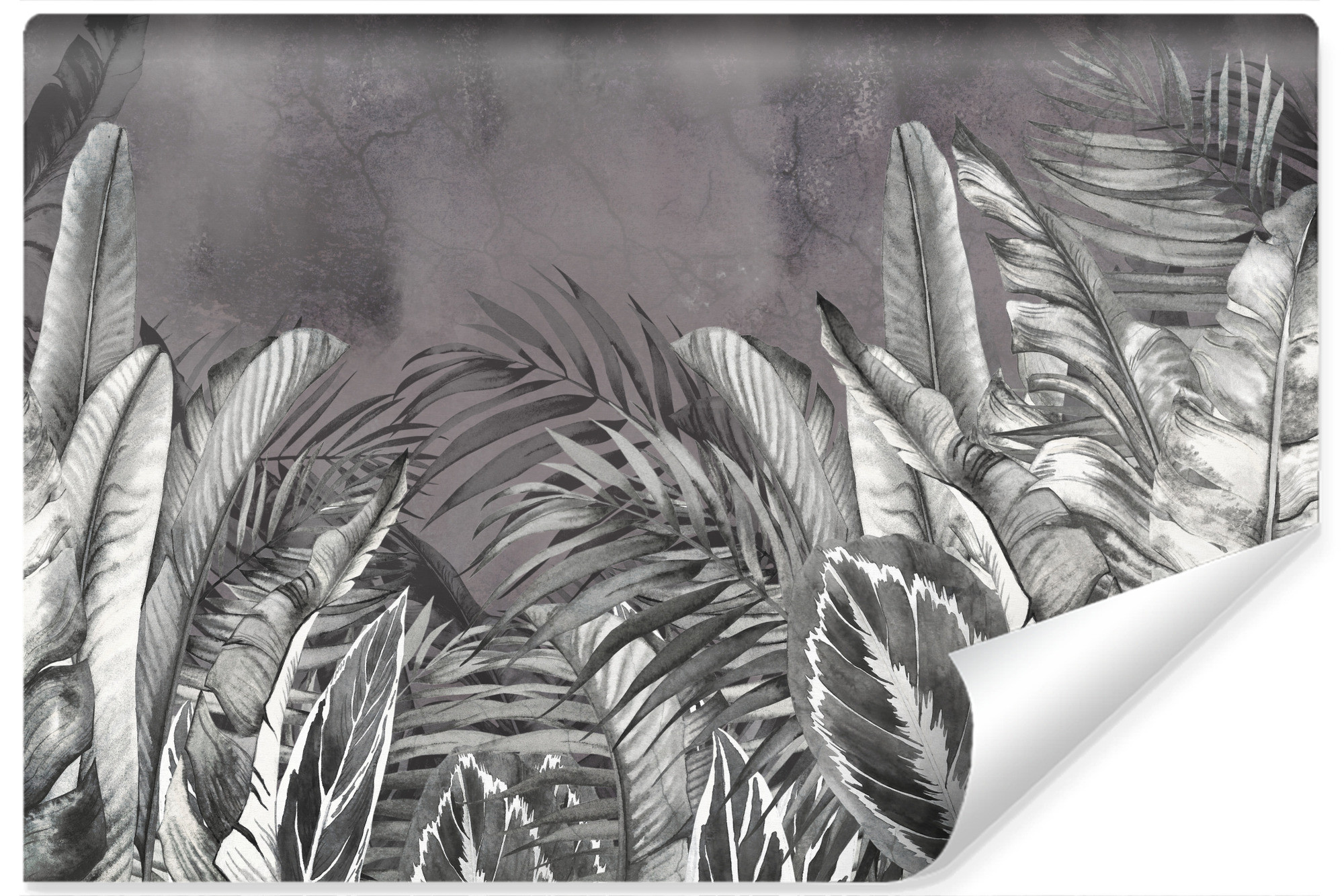 Fototapeta Ścienna LIŚCIE Palmy Bananowiec 90x60cm