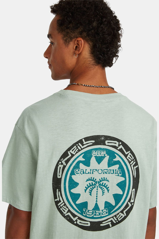 O'Neill Slub Back Print T-Shirt