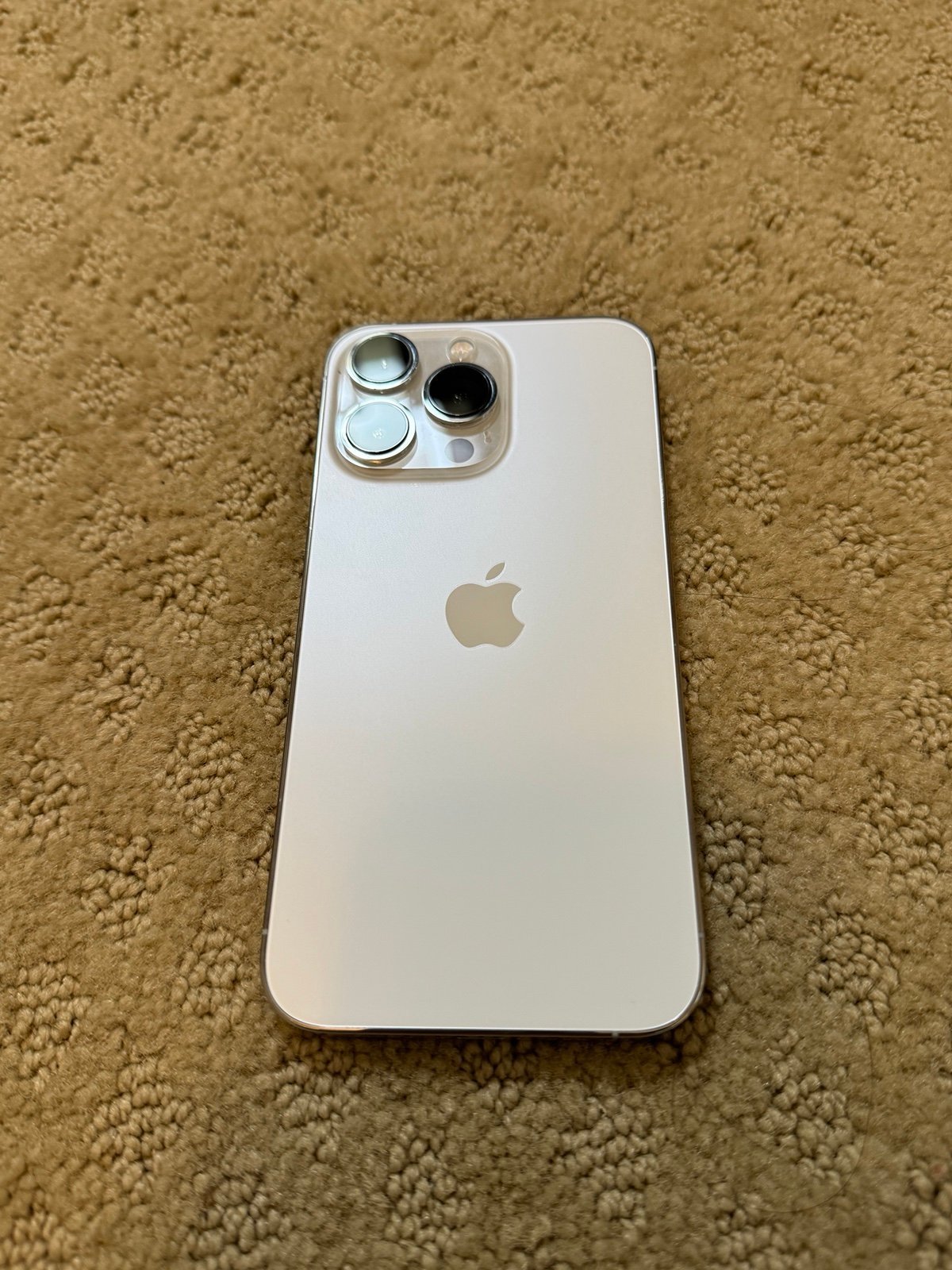 iPhone 13 Pro 256 GB Unlocked Silver