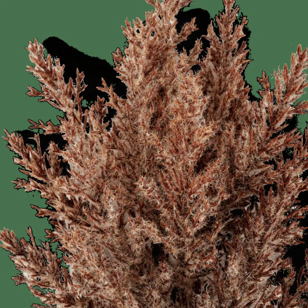 Branches Artificielles^CASA PLUME Tige Panache Brun