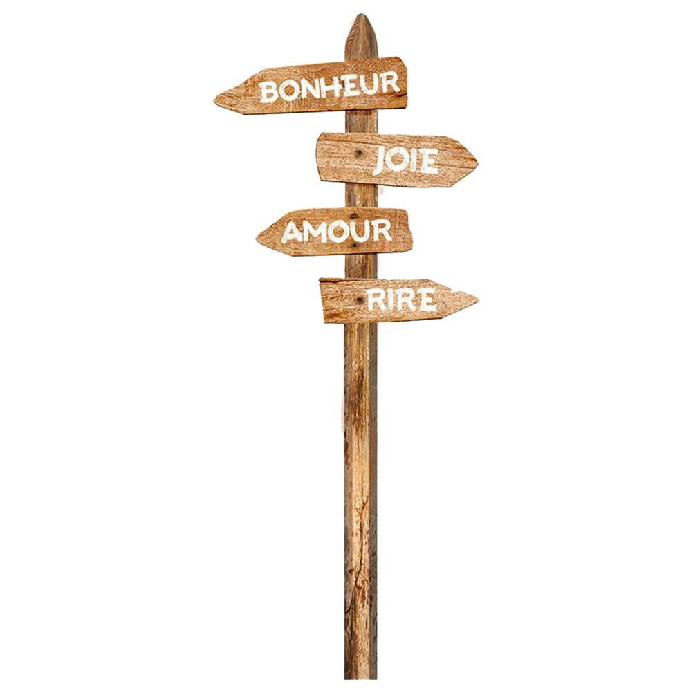 DIRECTIONS - Autocollant mural panneaux de directions 120x48cm