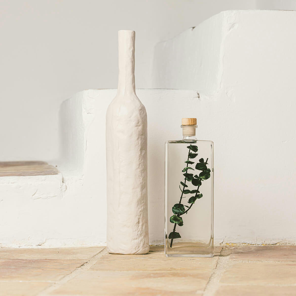 HERBARIUM DE THEOPHILE - Plante immergée Eucalyptus