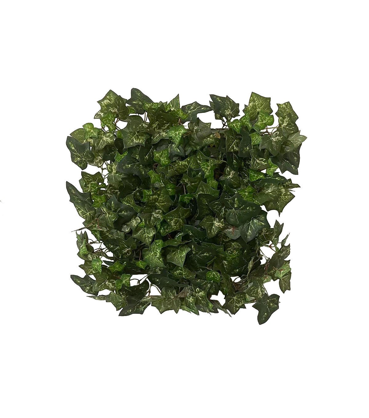 15 x 15 Ivy Floral Tile by Bloom Room