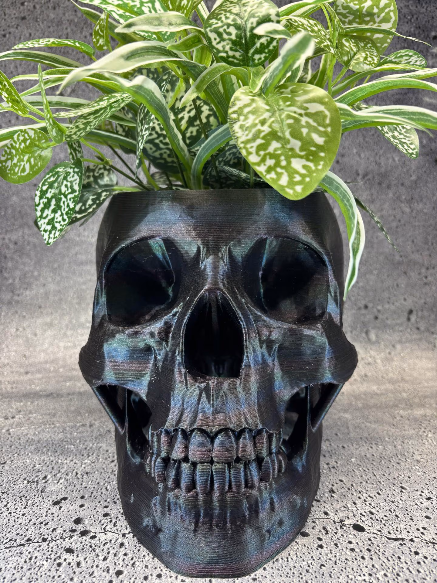 Extra Extra Large Skull pot for Succulents, Cactus or any Plant (Cosmic Multi color) - 7.5