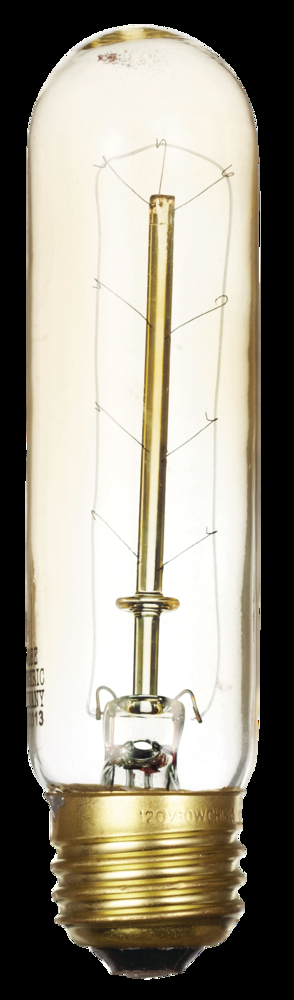 Globe Electric T10 E26 Base Vintage Tinted-Glass Dimmable Tube Light Bulb, 245 Lumens, 60W