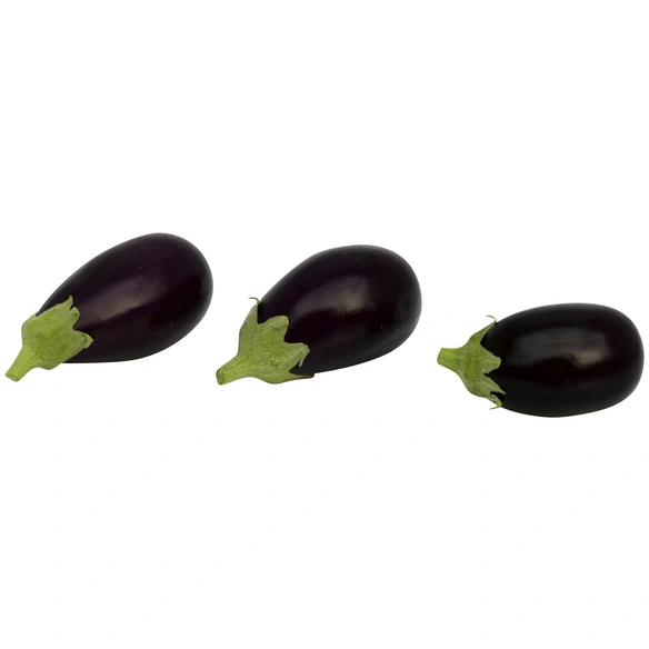 Aubergine Solanum melongena »Bakota«