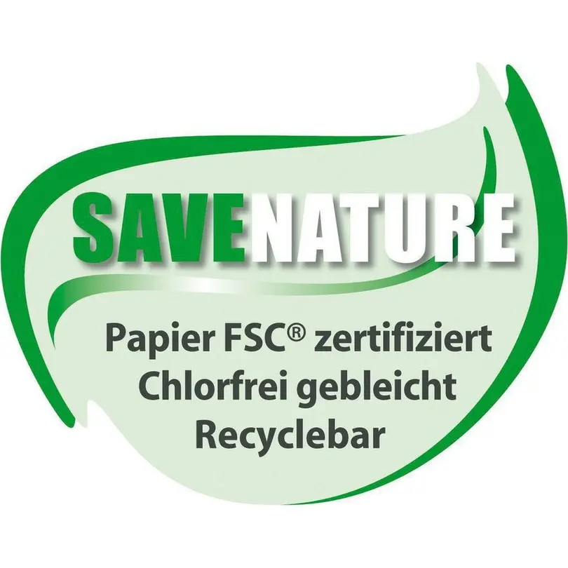Büro-Notizblätter 12er-Set Calligraphie