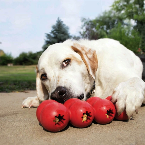 Hundespielzeug, mehrfarbig