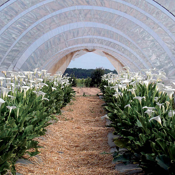 Bâche de protection 4x10 m 160 g/m2