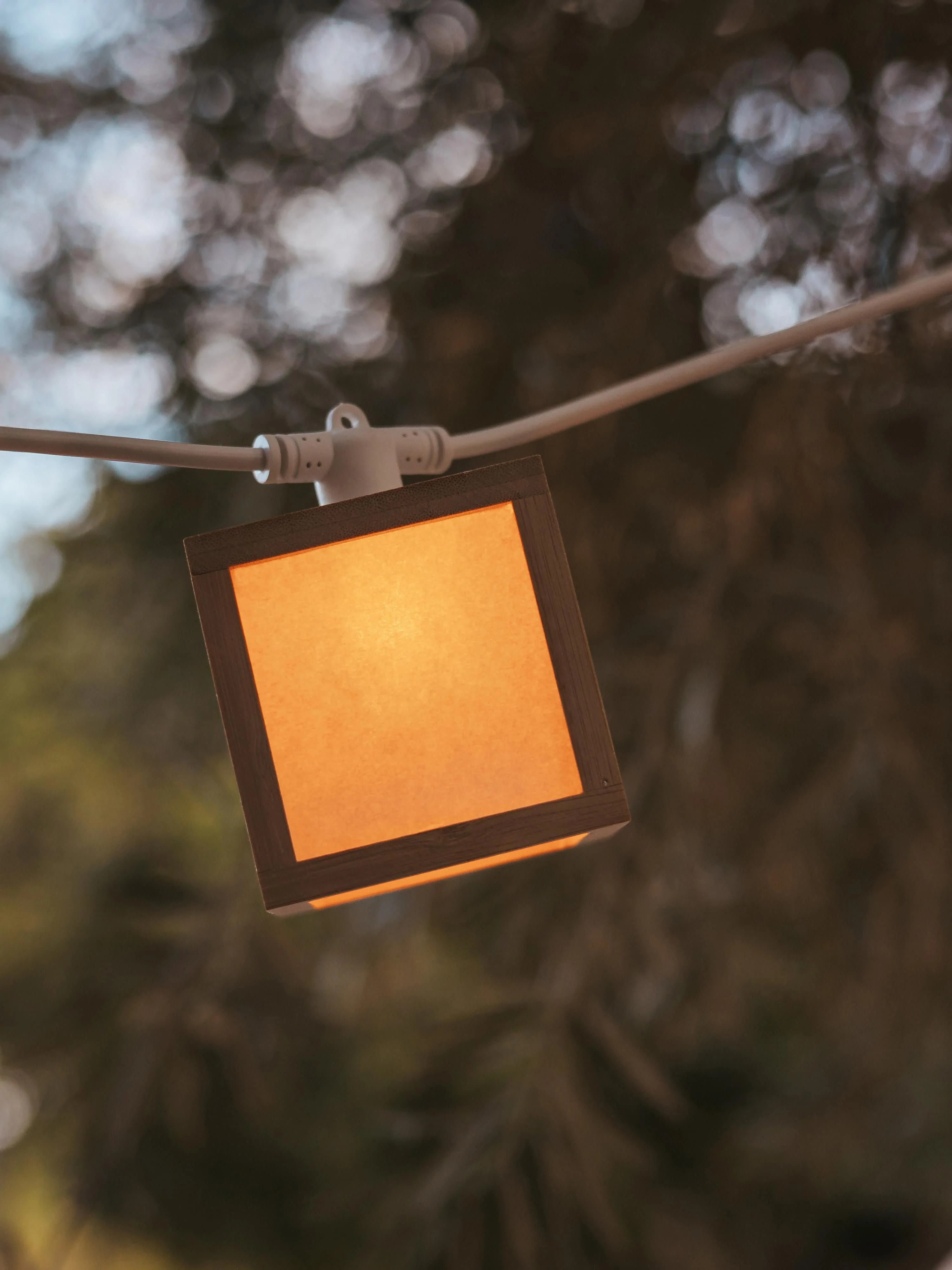 Solar-LED-Lichterkette Vega mit Fernbedienung