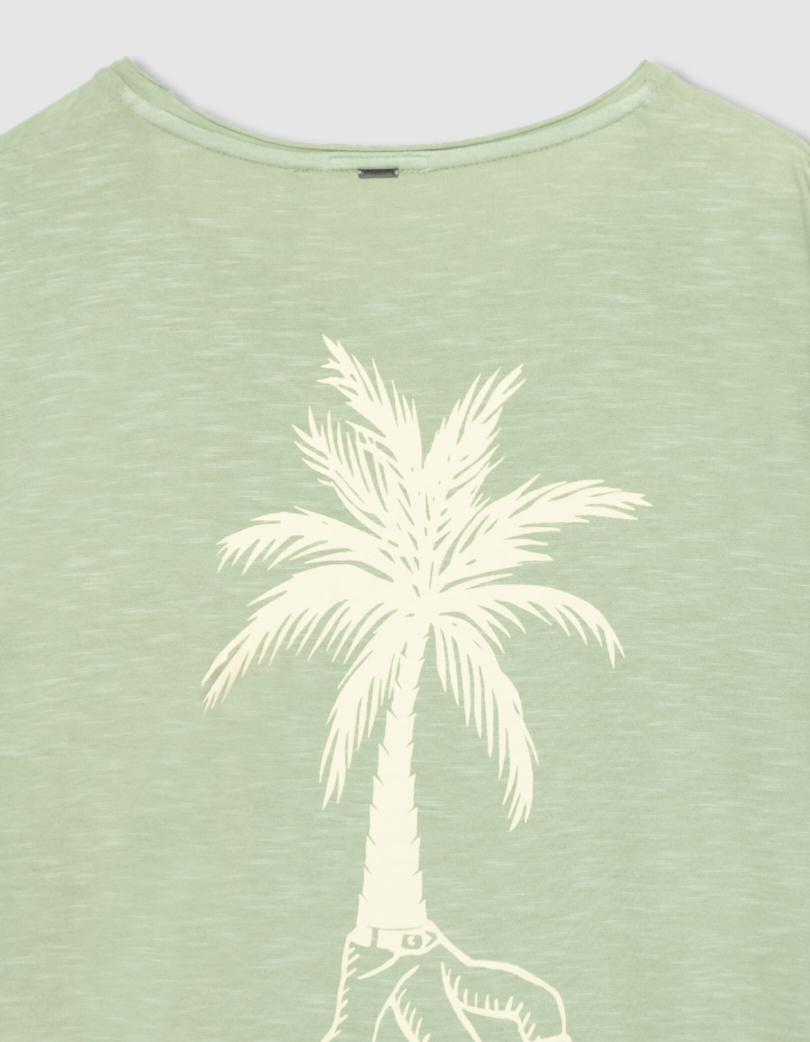 T-shirt col rond vert coton bio visuel palmier Homme