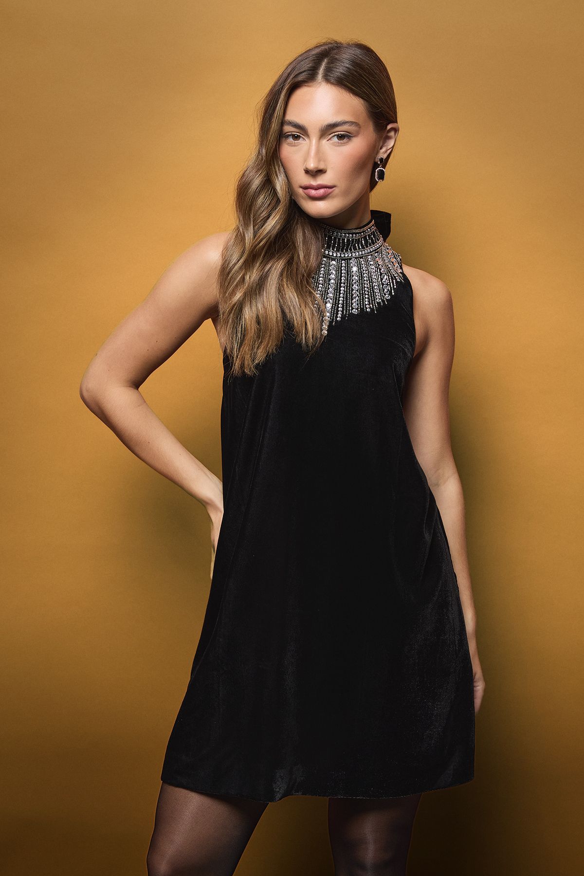 Coast Embellished High Neck Bow Detail Velvet Mini Dress