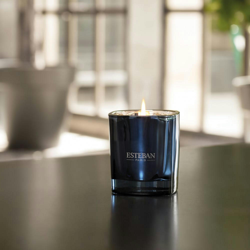 BOIS DE CACHEMIRE & AMBRE GRIS - Recharge pour bougie parfumée 180g