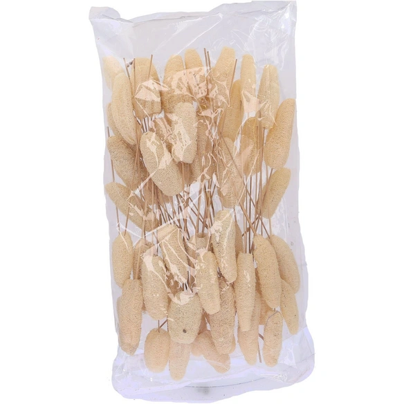 Luffa-Kopf am Stiel