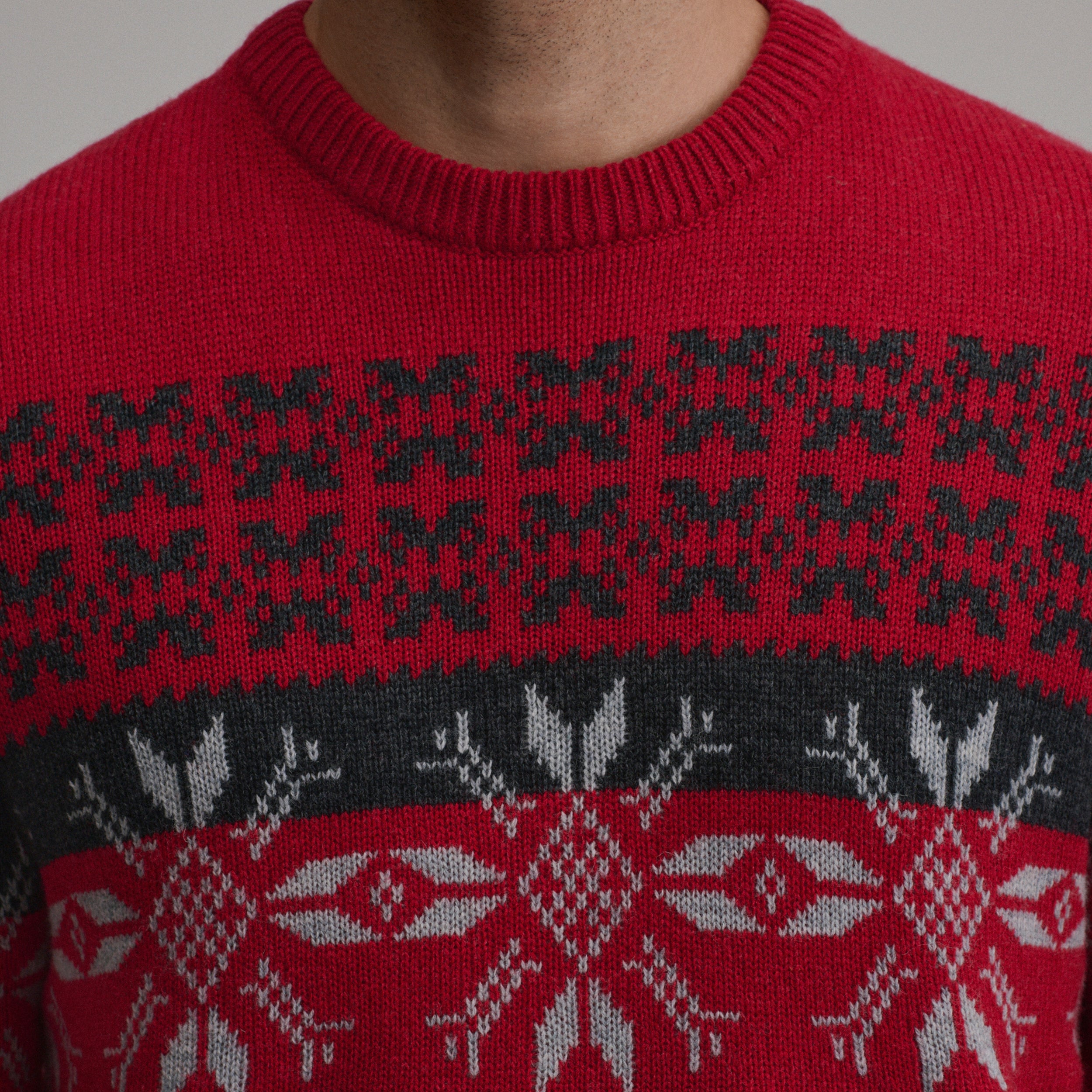 Men's Holiday Festive Jacquard Crew Sweater