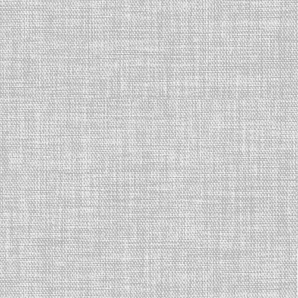 Papier peint vinyle intissé uni structuré gris clair L.1000 x l.52 cm GoodHome Shung