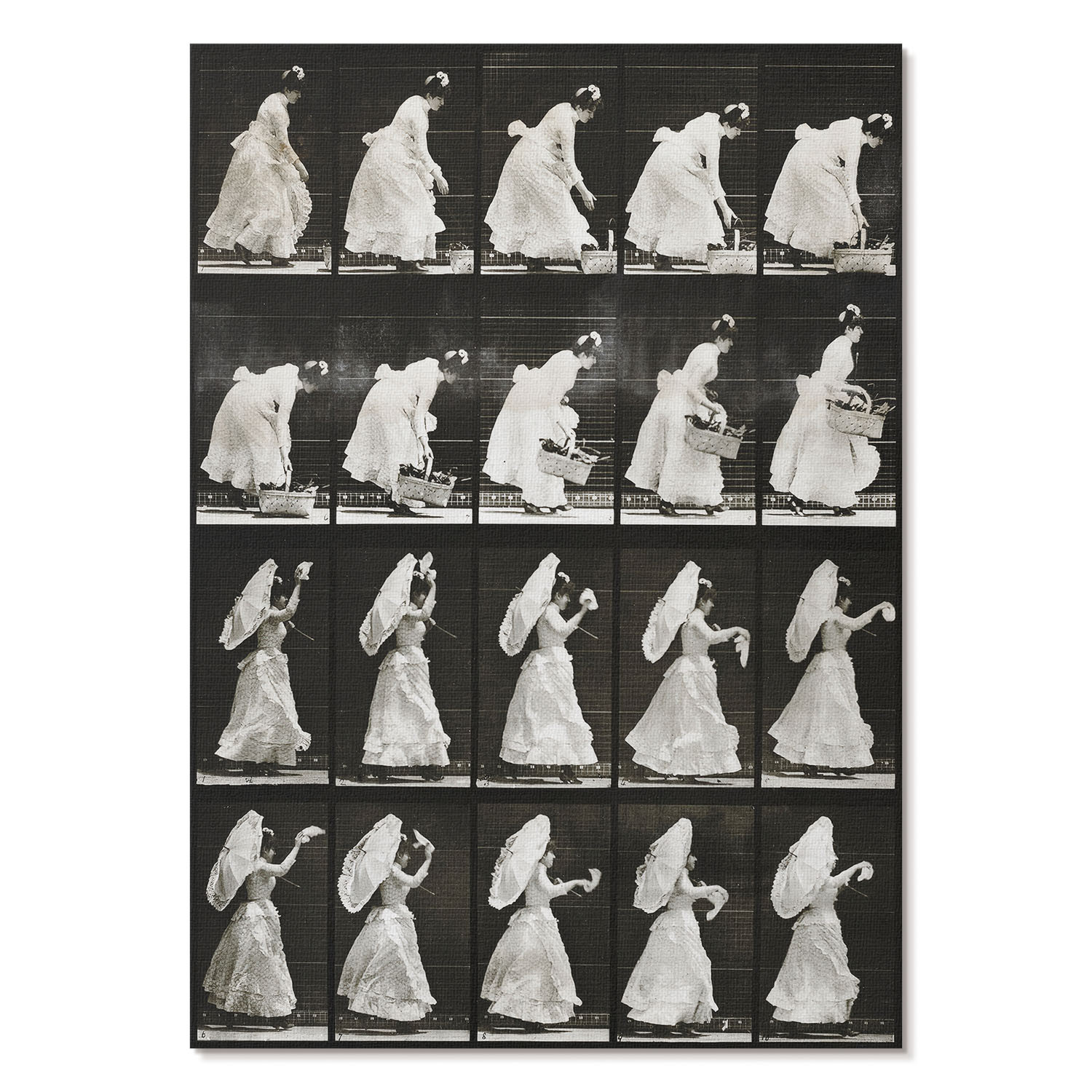 Nowoczesne plakaty A4 Kobieta machająca chusteczką (1887) E. Muybridge’a