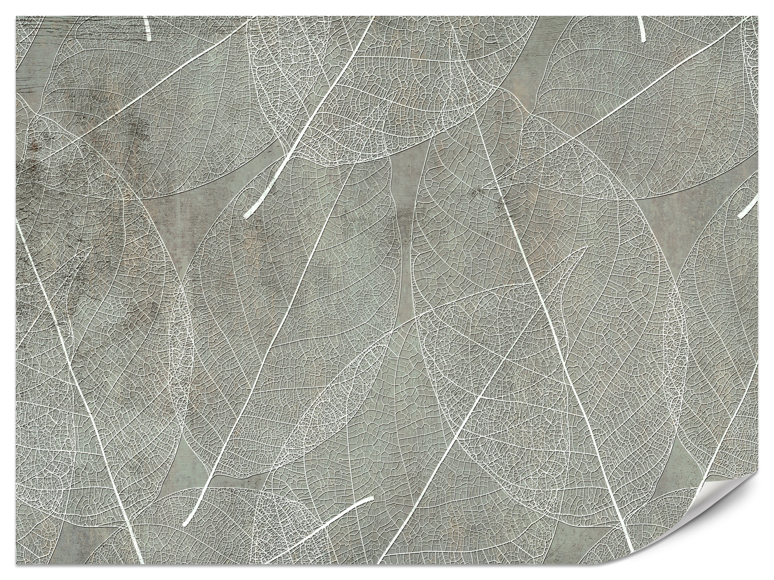 Fototapeta Białe liście na betonie 100x70cm