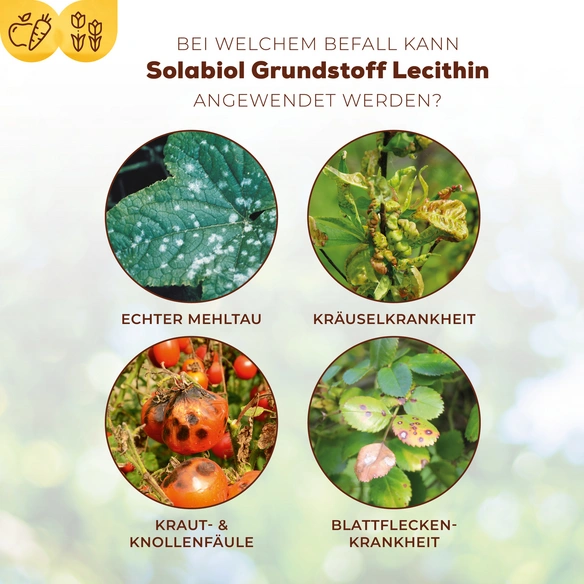 Grundstoff, Lecithin, 800 ml, für Obst/Gemüse/Zierpflanzen