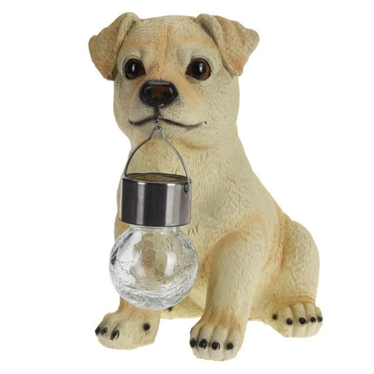 Lampka solarna ogrodowa figurka labrador kremowy z latarenką LED 24 cm