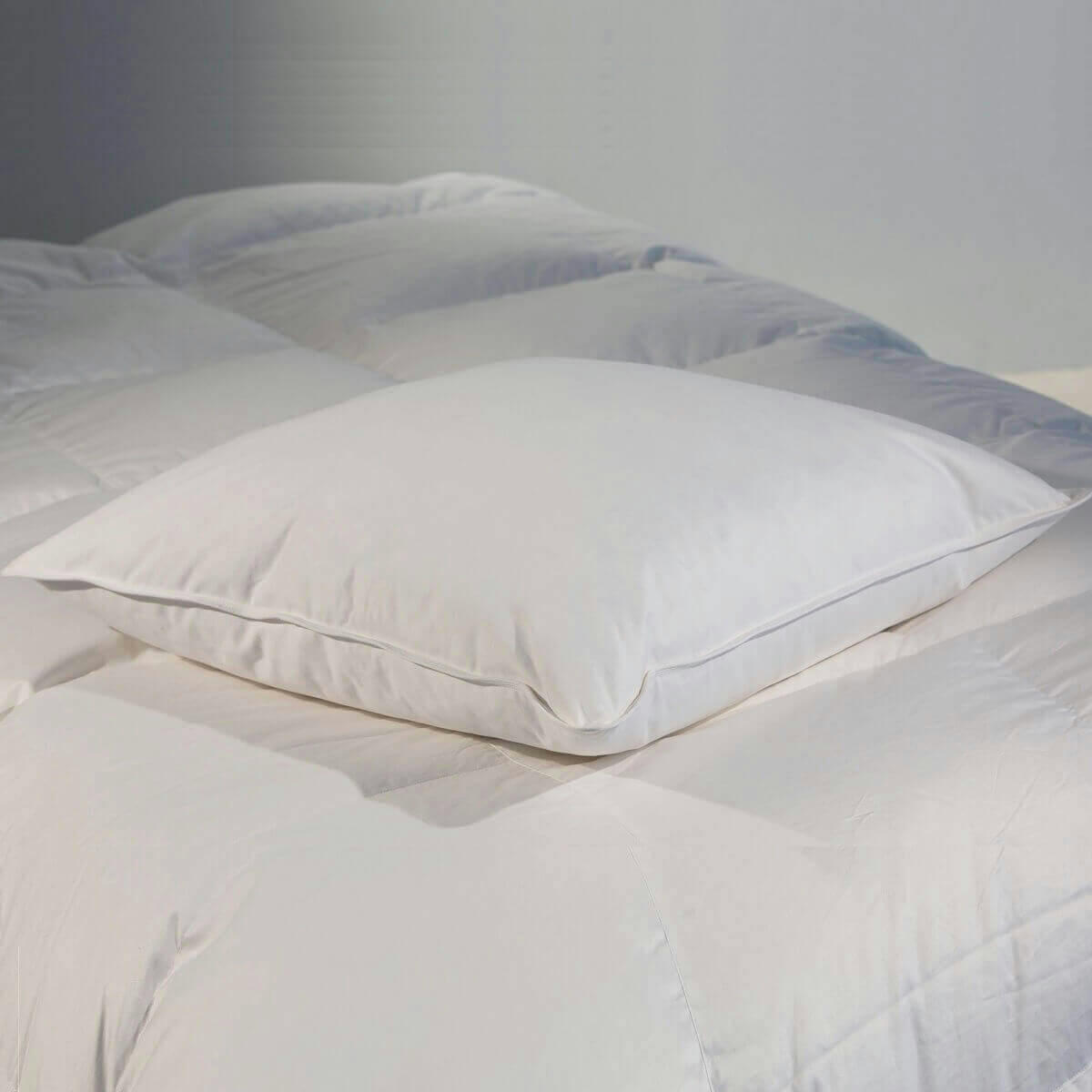 PREMIUM - Oreiller plat naturel moelleux en plumes et duvet 60x60 cm