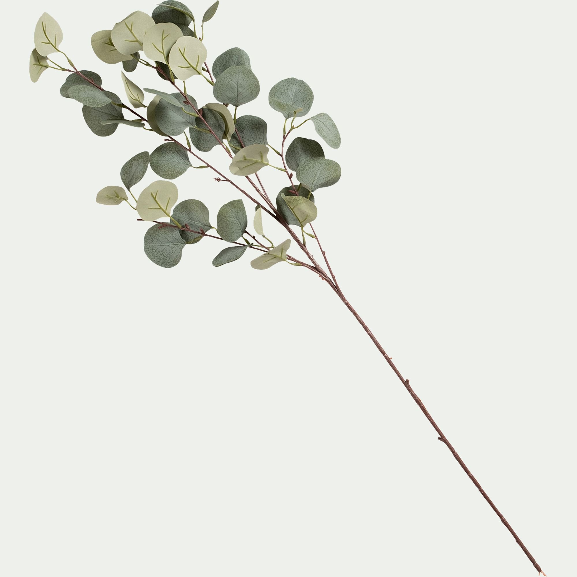 MAUNE - Branche d'eucalyptus artificielle H90cm - vert