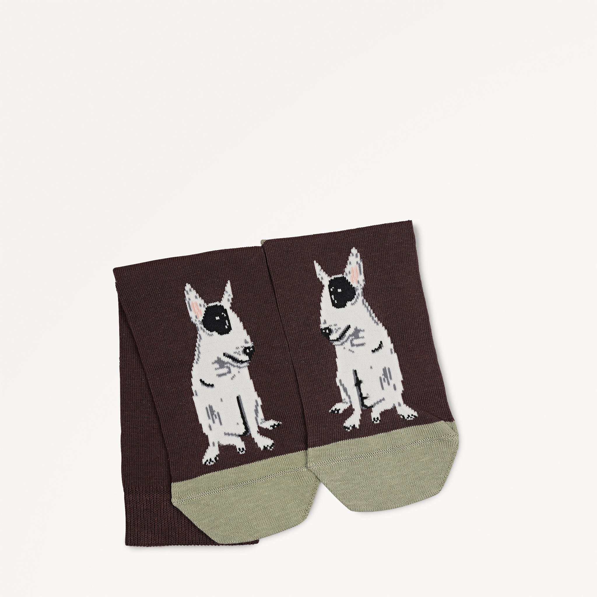 Radley & Friends - 1 Pack Socks