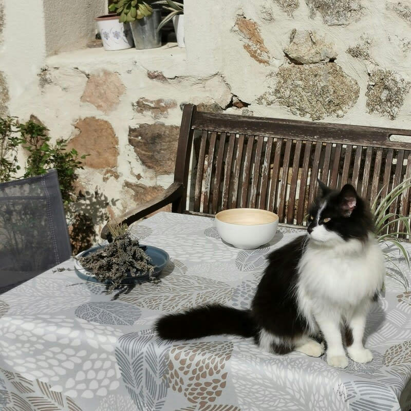 FEUILLES - Nappe enduite rectangle 160 x 240 cm beige